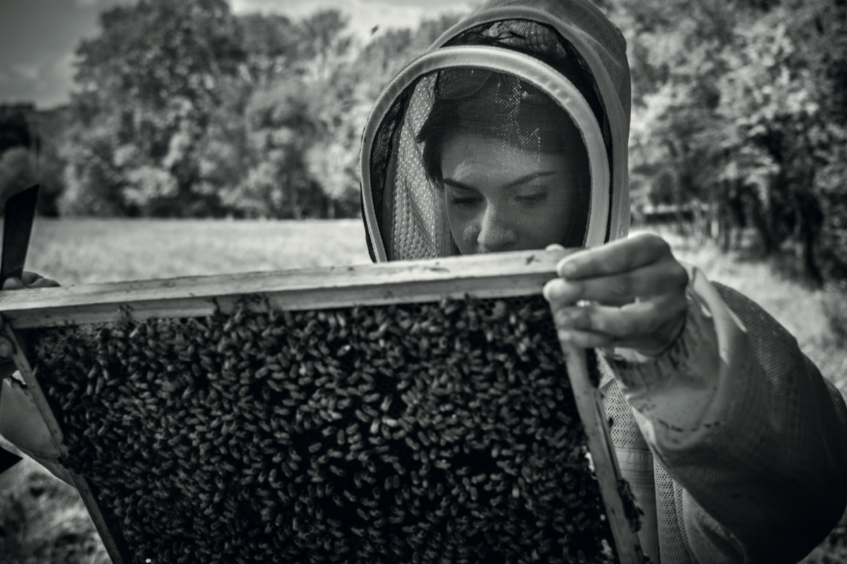 Angelina Jolie on Bringing the Guerlain x UNESCO Women for Bees