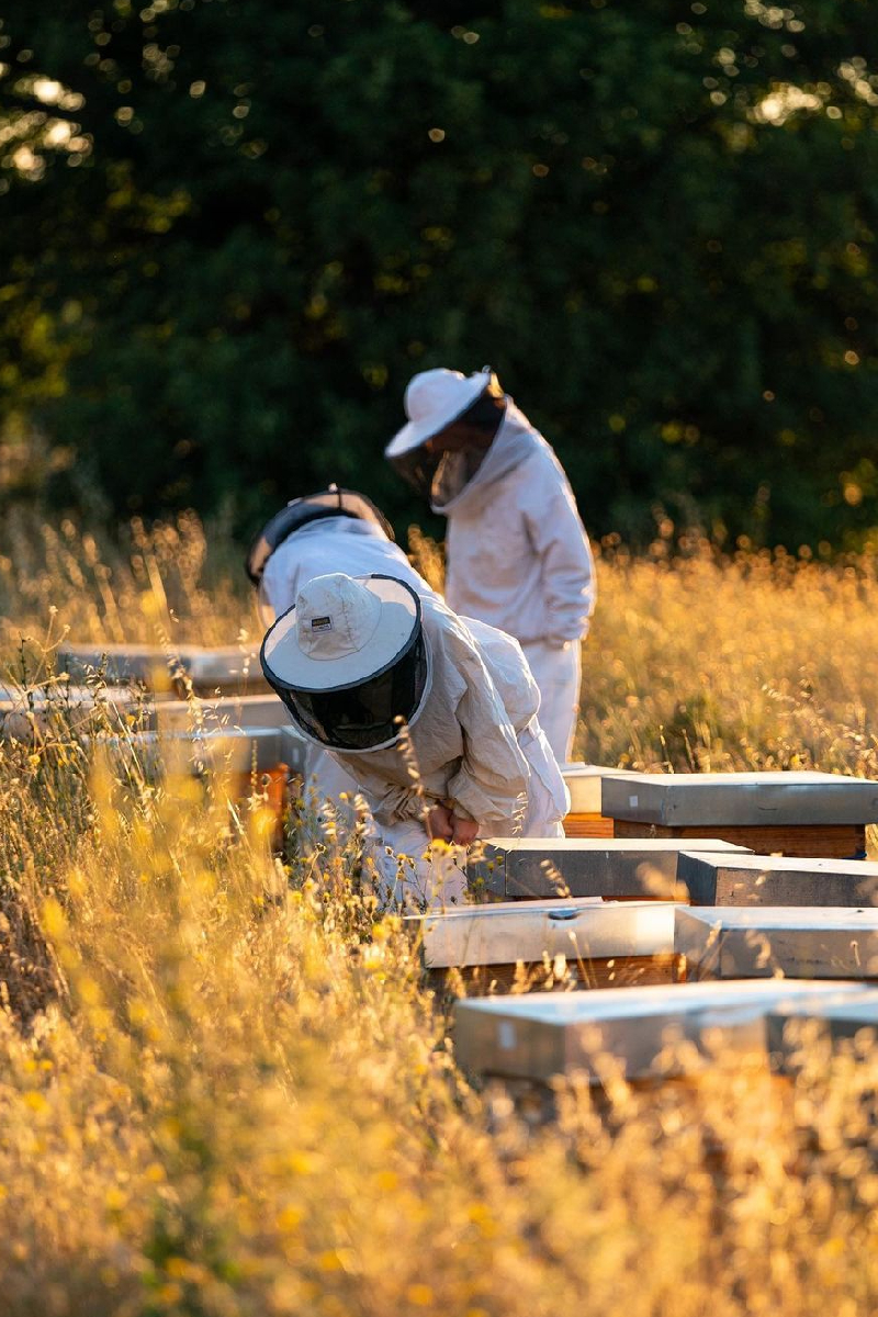 Angelina Jolie on Bringing the Guerlain x UNESCO Women for Bees